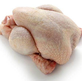 PIEPKUIKEN/POUSSIN