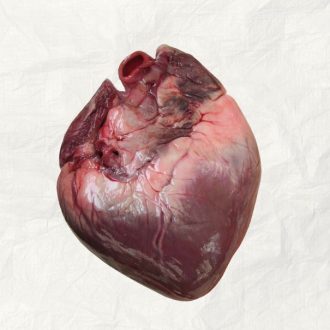 Coeur de Porc